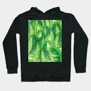 Banana Forest Hoodie